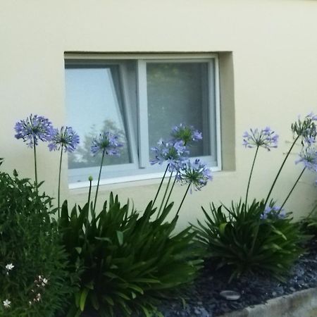 Les Hortensias Fortschwihr Ngoại thất bức ảnh