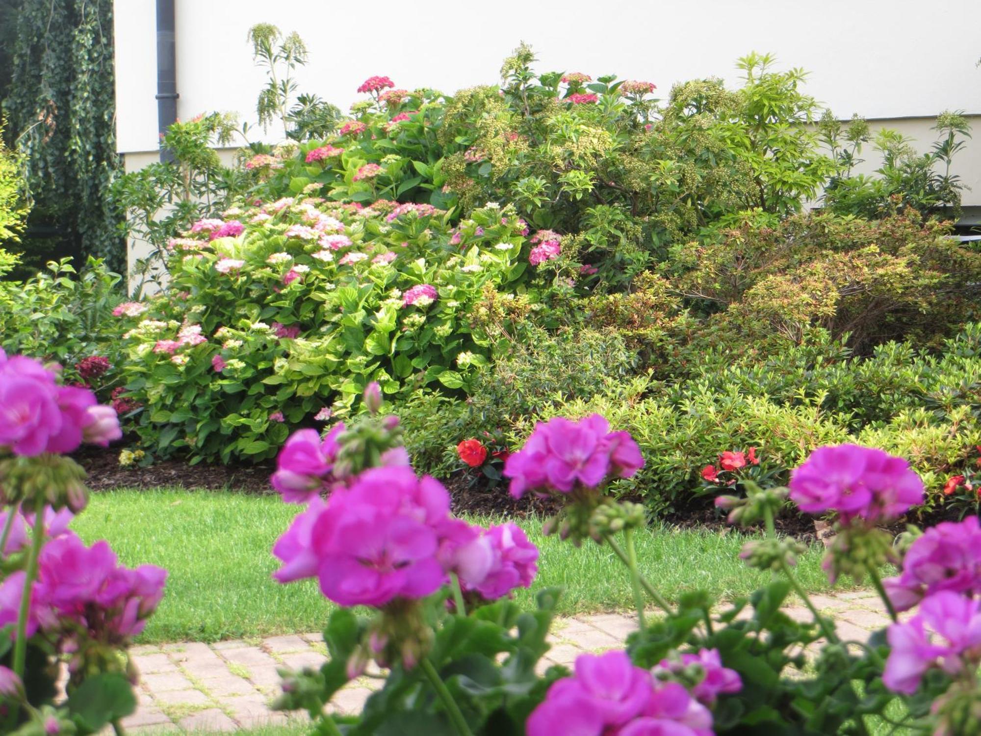 Les Hortensias Fortschwihr Ngoại thất bức ảnh