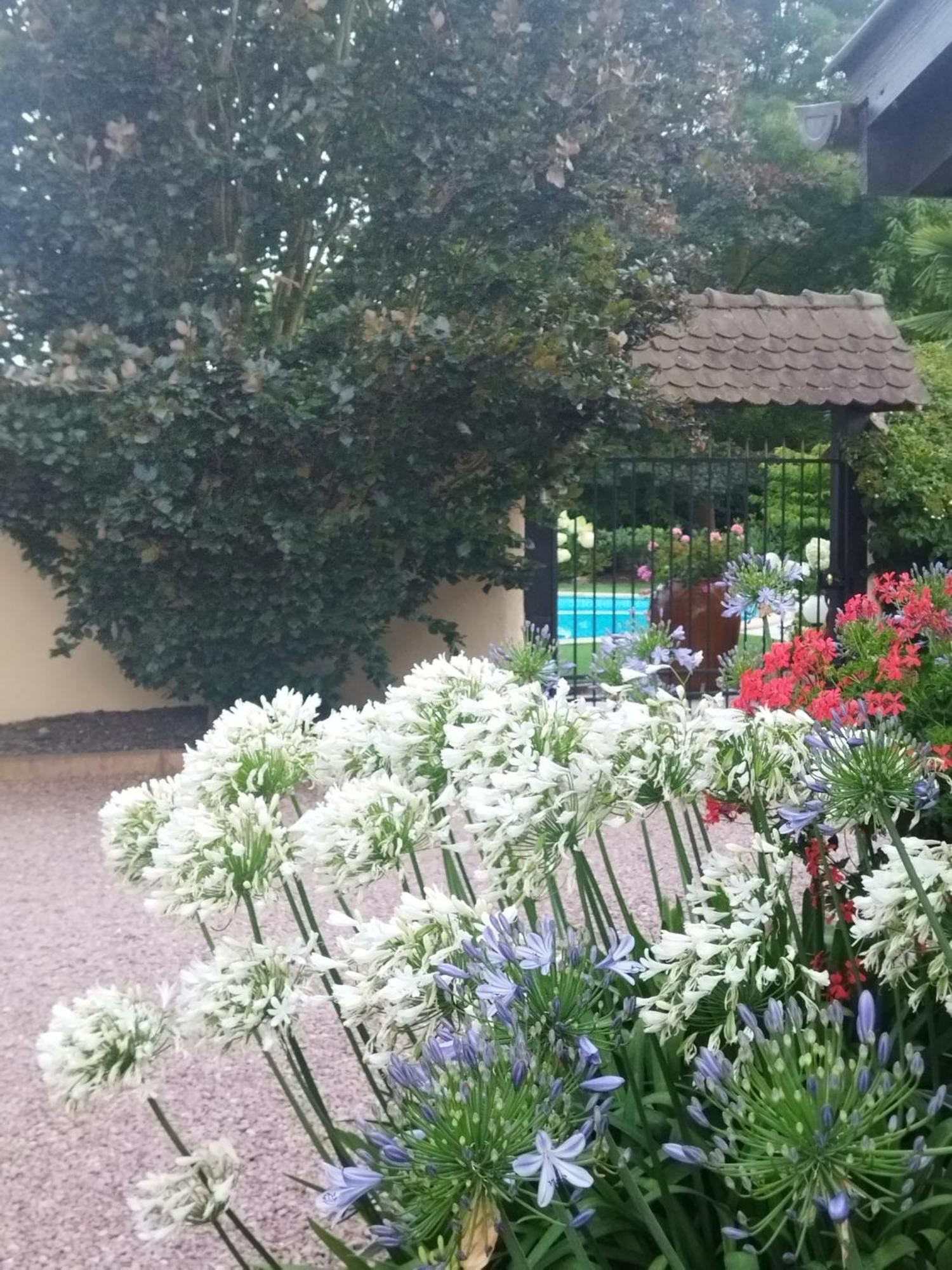 Les Hortensias Fortschwihr Ngoại thất bức ảnh