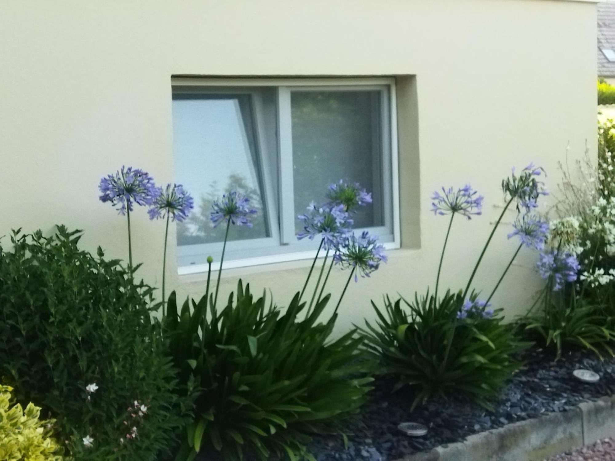 Les Hortensias Fortschwihr Ngoại thất bức ảnh
